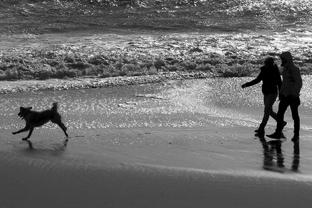 © Neil Turner, February 2014. A couple walk their dog on the beach between storms.