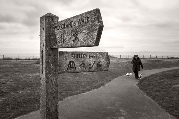 ©Neil Turner, February 2015. The cliff tops at Boscombe on a dull winter's day.